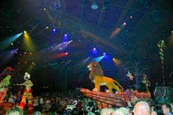 Festival of the Lion King 13